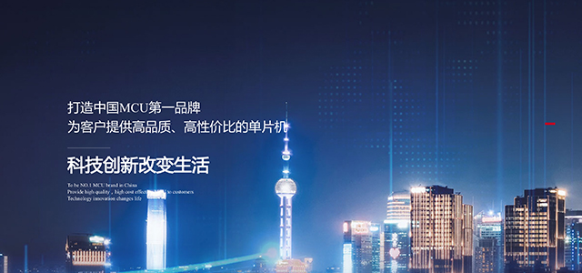 上海芯圣电子股份有限公司